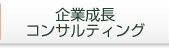 企業成長コンサルティング