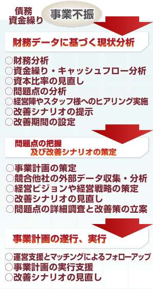 財務データに基づく現状分析　問題点の把握及び改善シナリオの策定　事業計画の遂行、実行